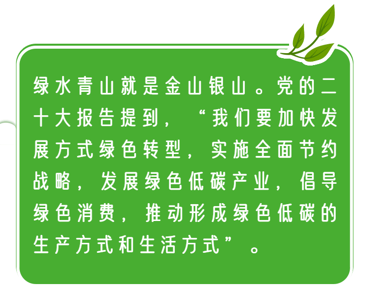 包含环保足球：俱乐部如何实现碳中和？的词条