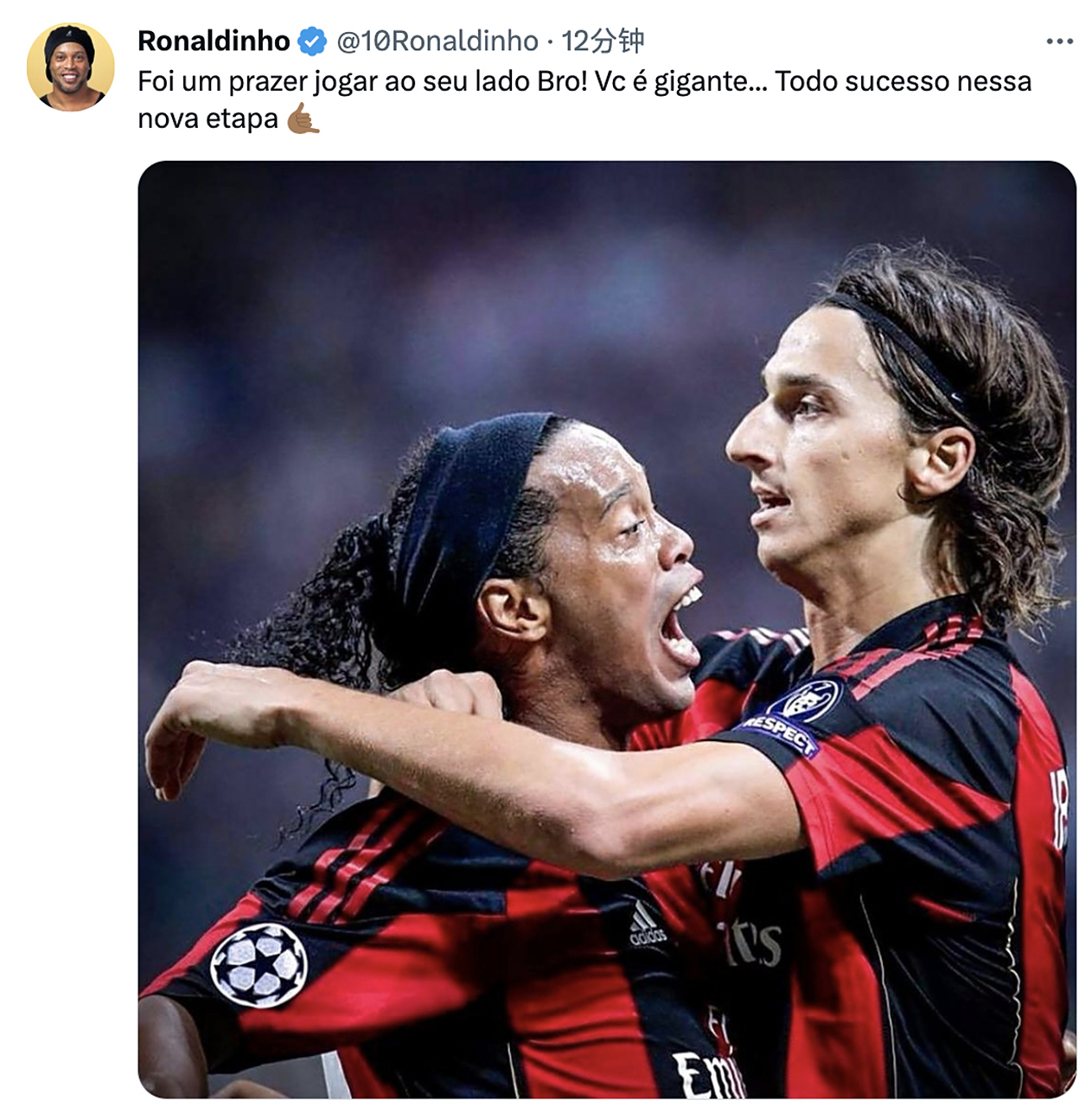 退役球星现状：小罗破产，卡卡从政，伊布当老板